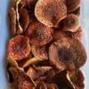 Amanita Muscaria