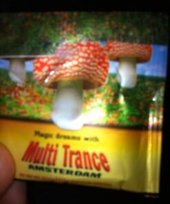 magic mushroom tea near me
