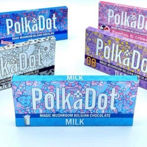 polka dot mushroom chocolate