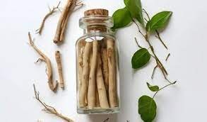 ibogaine for sale online
